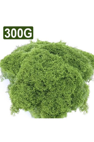 Choice 300 500/30 غرام من طحلب الحياة الأبدية، نباتات خضراء اصطناعية، أشغال ي...