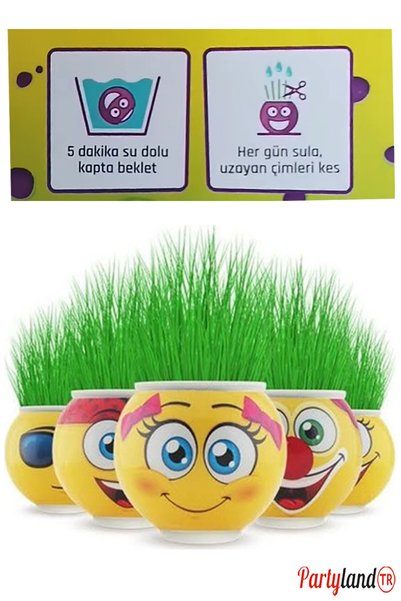 PartylandTR 4 Adet Emoji Çim Adam