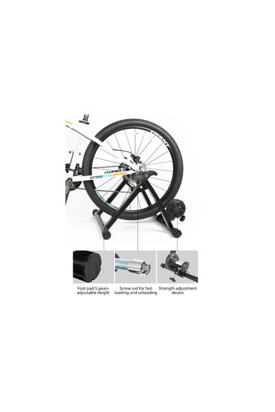 Modus Bicycle Art Stationary Home Trainer with Weight Control Machine