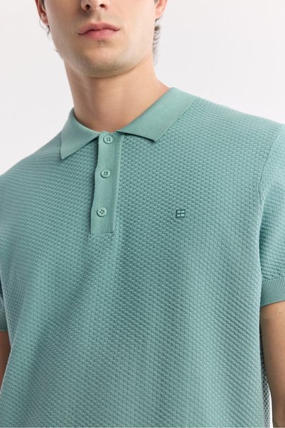 Avva Men's Nile Green Polo Neck Viscose Blend Basic Knitwear Regular Fit T-Shirt B005120