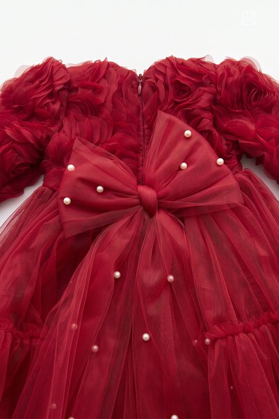 ALYRA Baby Girl Red Long Sleeve 3D Rose Tulle Princess Evening Dress Birthday Wedding 9 Months-5 Years