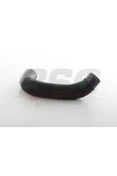BSG Hava Filtre Hortumu 407 / C5 2004
