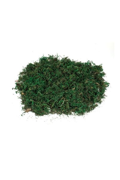 OEM Iarbă Decorativă Verde 100 g pentru Iesle și Brad de Crăciun – Accesoriu ...