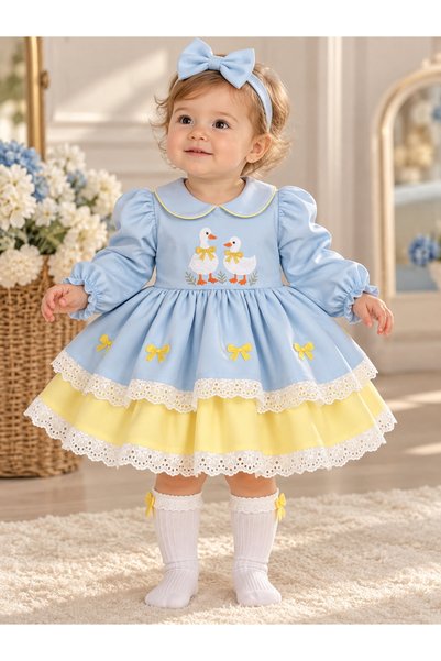 Dizaynbyasena Swan Embroidery Custom Design Fluffy Birthday Dress