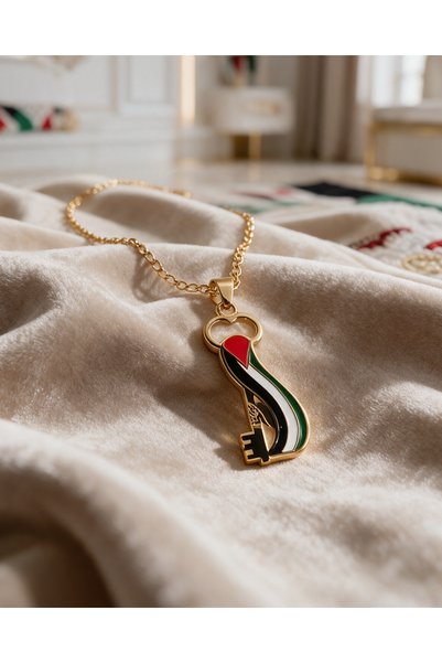 Zaytoon قلادة بسلسلة مطلية بالفضة غير قابلة للصدأ مع علم فلسطين المموج وسلسلة...