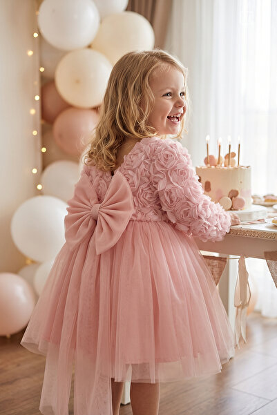 ALYRA Baby Girl Kids Dress Long Sleeve Bowknot Rose Birthday Party Wedding Special Occasion Evening Dress Girls' Dress 1-5 Years