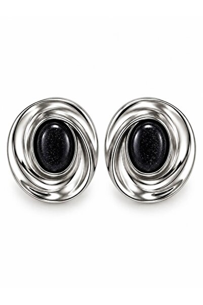 CHARMLUCKY Steel Vanecia Earrings