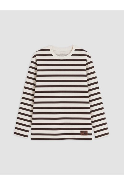 LC Waikiki LCW Kids Brown Striped Standard & Regular Long-Sleeve Boys' T-Shir...