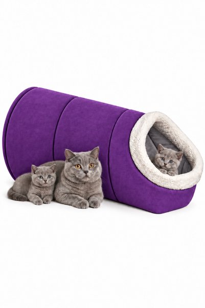 Nerotex Alaska Model Kedi Dogum Yatağı Anne Ve 4 Yavrusu