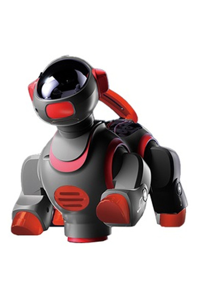 OEM Dancing Robot Dog Toy with Sound & Light