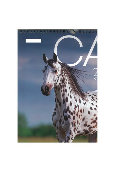 O-PRESS Calendar cai 2027 A3, 8 file