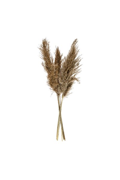 OEM Iarba de Pampas Bej 85 cm – 5 buc. – Decor Realist pentru Casă și Evenimente