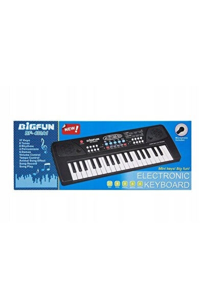 LeanToys PENTRU CEA MAI TINERE PIANISTE: CLAVIER CU MICROFON