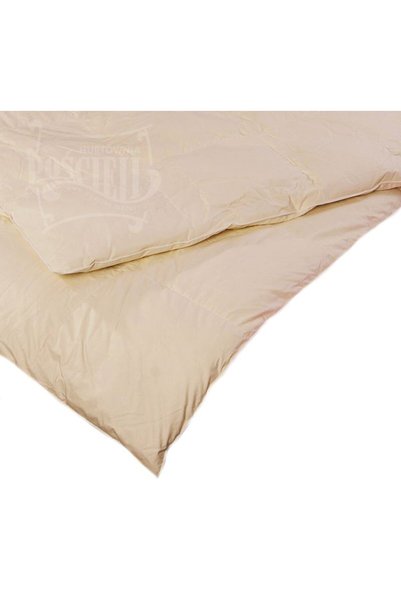 NO BRAND RADEXIM Pilotă 100% puf de rață 220x200 2,0kg