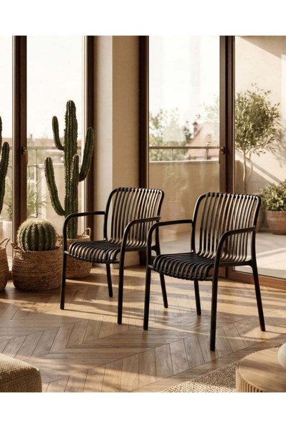 Generic Brand HariNorgen Resin Dining Chairs Set of 2, Indoor & Outdoor Armch...