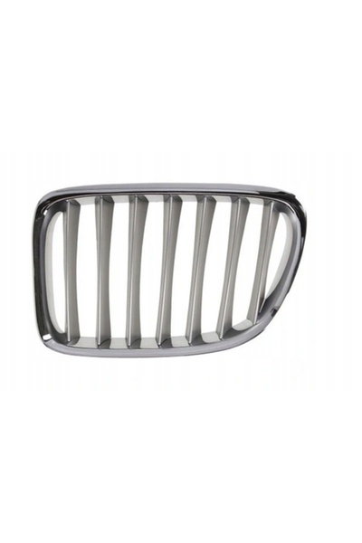Polcar BMW X1 E84 Ornament grilă față stânga