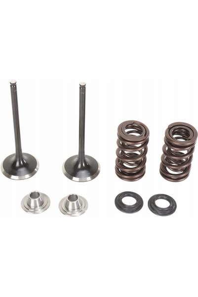 MOOSE RACING SET SUPAPĂ DE ADMISIE ȘI ARC DIN OȚEL INOXIDABIL KAWASAKI KX 250F