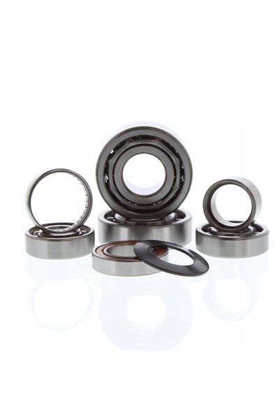 Hot-Rods KIT RULMENTE ANSAMBLU DE VITEZE HOT RODS HONDA TRX 450 R, FX 1200