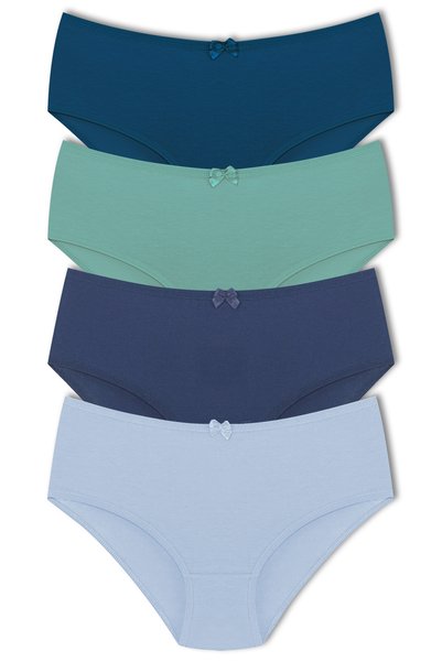 HNX Women's Plus Size Cotton High Waist Slip Panties 4 Pack