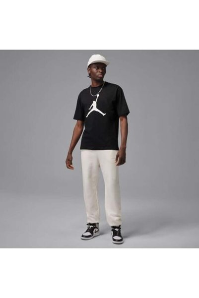 JORDAN Men's Lifestyle T-shirt _ IF5568-010