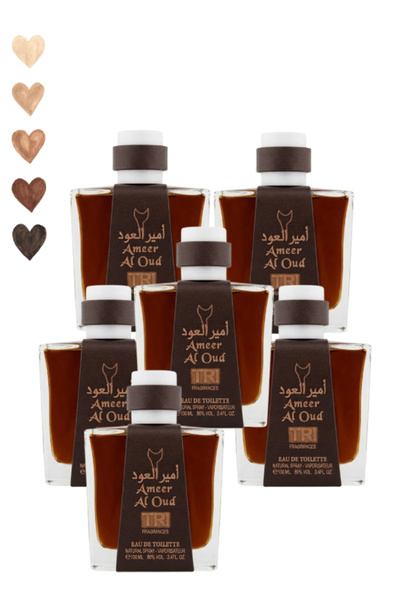 trı 6 قطع Ameer Al Oud عطر 100 مل