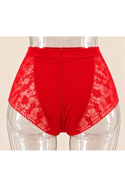 LUNESSA NİGHT Women's High Waist Soft Textured Lace Detail Standard Fit Comfortable Panties
