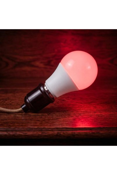 MYASEM STORE Multi-Color LED and RGB Light Bulb