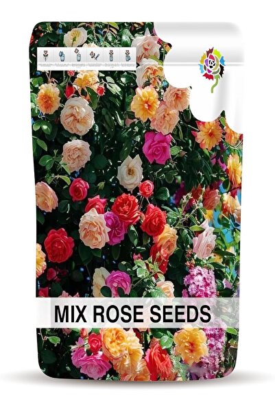Generic Black Rose Seeds for Planting – Easy-to-Grow Black Rose Flower Seeds ...