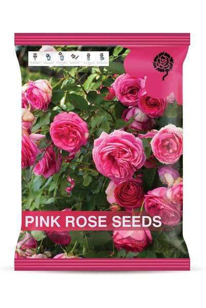 Generic Black Rose Seeds for Planting – Easy-to-Grow Black Rose Flower Seeds ...
