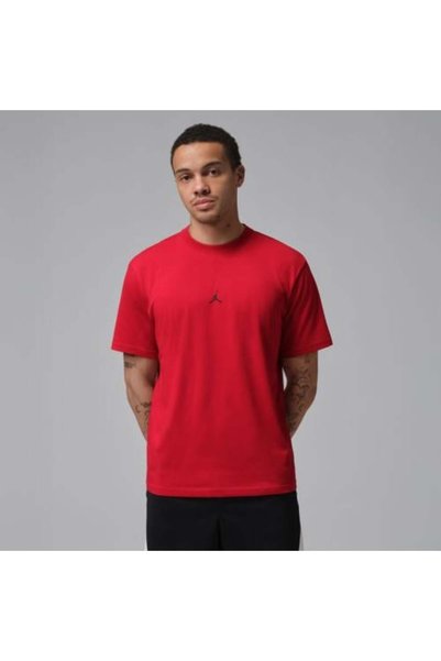 JORDAN Men's Training T-Shirt _ IB6757-687