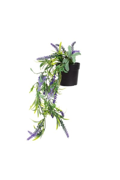 OEM Ghiveci Decorativ din Plastic Negru cu Planta Artificială de Lavanda Curg...