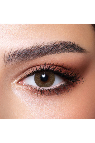Bella Diamond Brown Plano Monthly Contact Lenses - Set of 2
