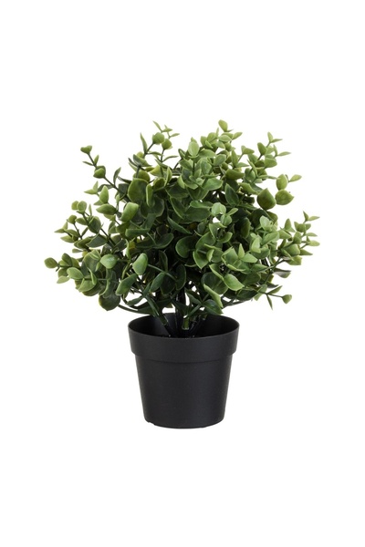 OEM Ghiveci Decorativ din Plastic Negru cu Planta Buxus Ø9x25 cm