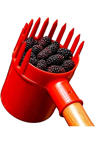 Generic أداة قطف التوت بأسنان مشطية سميكة للحدائق والزراعة والحصاد