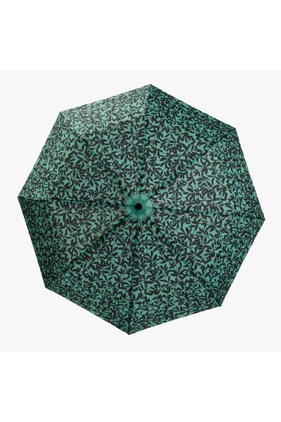 Cedon Easy Ομπρέλα Αυτόματη / Folding Umbrella: Secession