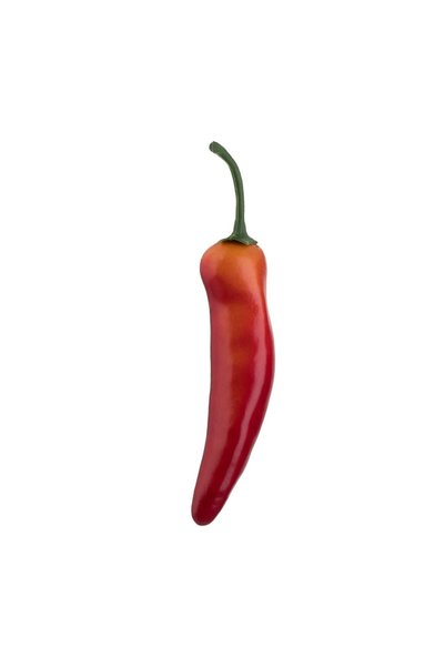 OEM Ardei Iute Chili Artificial din Plastic 15 cm – Decor Realist pentru Casă...