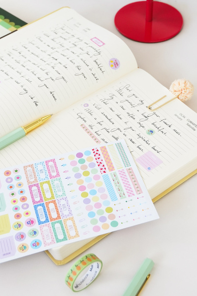 Matt Notebook 2027 Year Daily Agenda 16X24 cm - 12 Months