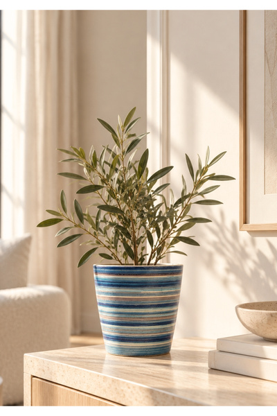 HOMİNG Sunny Renkli Seramik Saksı 13 cm