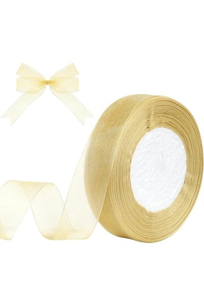 TERRIFI Sheer Organza Ribbon, Champagne Chiffon Ribbon, Translucent Gift and ...