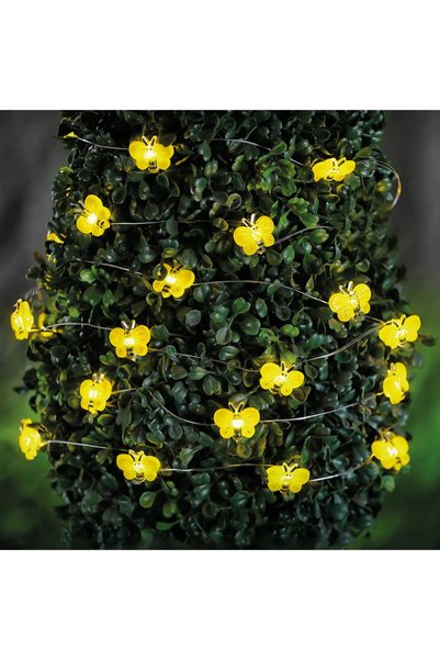 Garden of Eden Instalatie solara LED albine 2.4 m, 25 LED alb cald, ghirlanda...