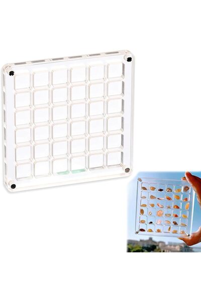 Arabest Magnetic Seashell and Jewelry Display Box,36 Grids,Clear Storage Case...
