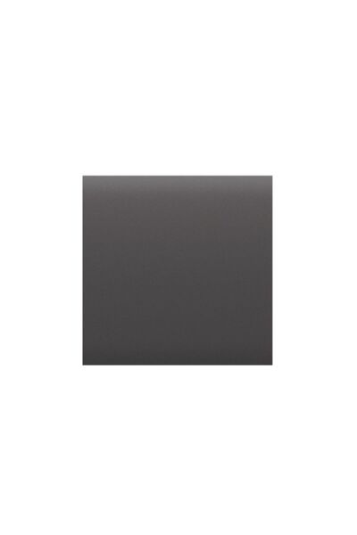 Ajax Πρόσοψη Center Button 1-Gang Grey LightSwitch BUT.039