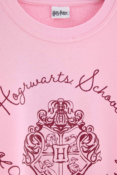 Trendyol Collection Light Pink Harry Potter Licensed Printed Crew Neck Knitted Sweatshirt Twoaw27Sw00097