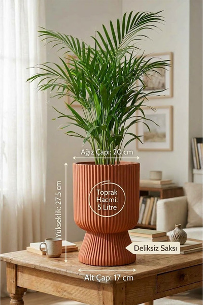 TEMMUZ HOME 1 Adet 5 Litre Büyük Boy Çizgili Ayaklı Saksı - Lotus 2 No (Deliksiz Bir Saksıdır)