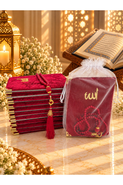lenagiftworkshop 10 Pieces of Burgundy Gift Tulle Pouches, Velvet Yasin Zayn ...