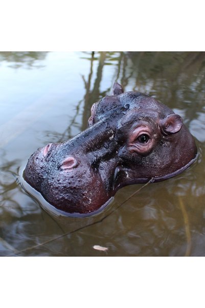 Choice Brown 1 Floating Hippopotamus Head on the Water Surface, Creative Gard...