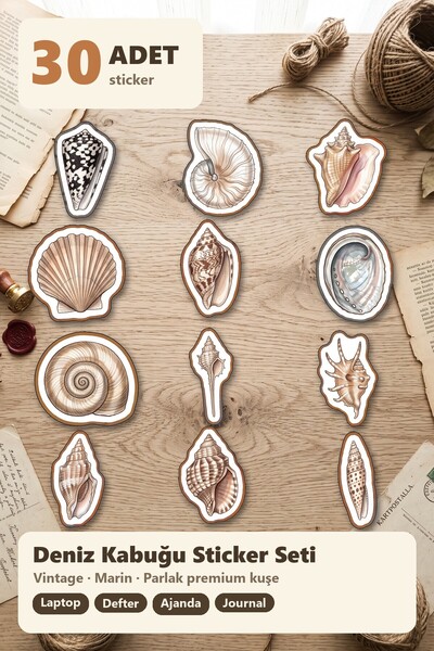 Dekorif 30 Pieces Classic Vintage Seashell Sticker Set - for Laptop, Notebook, Agenda