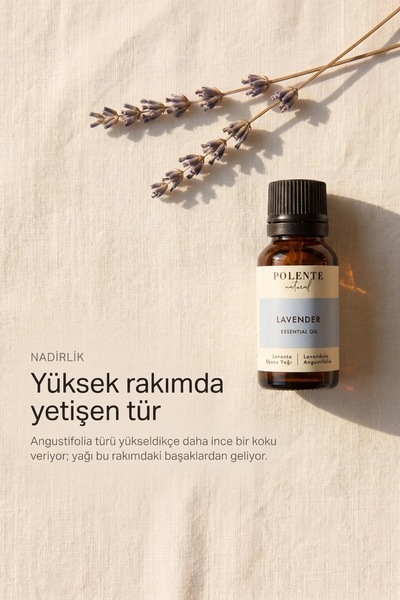 Polente Natural Lavanta Uçucu Yağı - %100 Saf Lavandula Angustifolia (10 ml)
