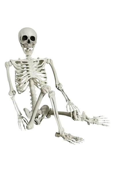 GGEROU Posable Skeleton,Full Body Skeleton with Movable Joint,Life Size Skele...