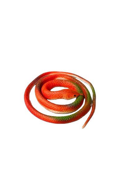 OEM Ψεύτικο παιχνίδι φιδάκι Fake Snake σε κόκκινο χρώμα
